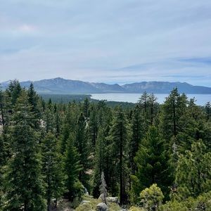 Meet your Posher, Mari